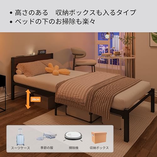 LunarLight スチールパイプベッド ベッドフレーム PB-S-DBR の商品画像 5