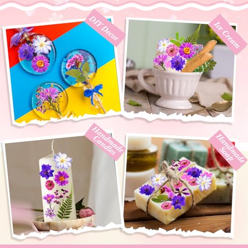 Decoración natural dried flores prensadas para torta 92 pcs miniatura 4