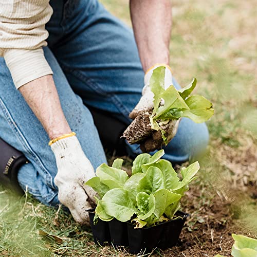 Maeline Bulk Safety Protection Work Gloves With Pvc Grip For Painter Mechanic Industrial Gardening Construction Men, Women #TOP5