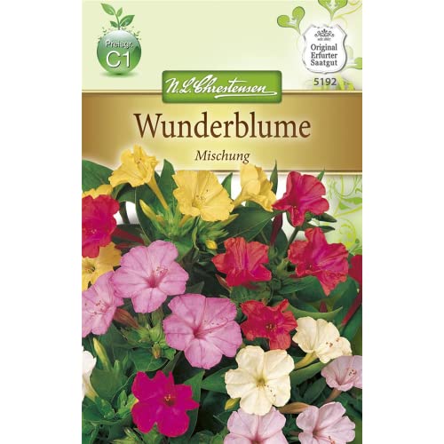 Chrestensen Wunderblume 'Mischung'