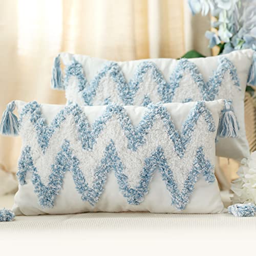 MARSAULE Set of 2 Cotton Woven Boho Throw Pillow Covers, Tufted Decorative Lumbar Pillow Covers with Tassels for Couch Sofa Bed, Living Room Sofa, Farmhouse, 12x20 Inch Blue and White(2 pcs)