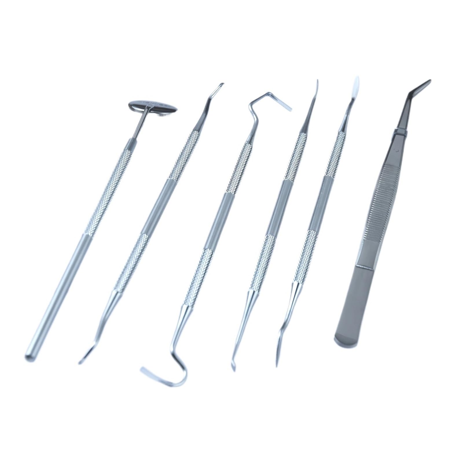 6 herramientas de limpieza dental de acero inoxidable, juego de cuidado dental portátil for el hogar, reutilizable for hombres, mujeres, adultos y mascotas.(2set)