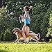 WOMGF Wasserflasche Hunde Unterwegs mit 2er Reisenäpfe Haustier Trinkflasch 2-in-1 Faltbare Hundenäpfe für Resie 800ML Schwarz