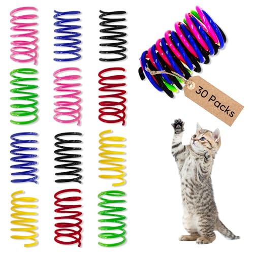 AGYM 6Colors Plastic Spring Cat Toys, 30 Pack Spiral Springs for Indoor Cats to Swat, Bite, Hunt, Interactive Toys for Cats and Kittens