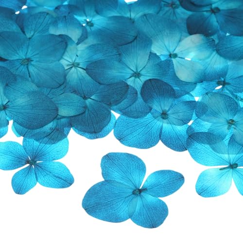 [Fiori Pressati Essiccati Durevoli] - Ogni fiore è fare di fiori naturali e l'uso dell'artigianato preserva la bellezza dei fiori. I colori vivaci sono pieni di energia e metterli in camera da letto o in soggiorno ti regalerà un umore felice