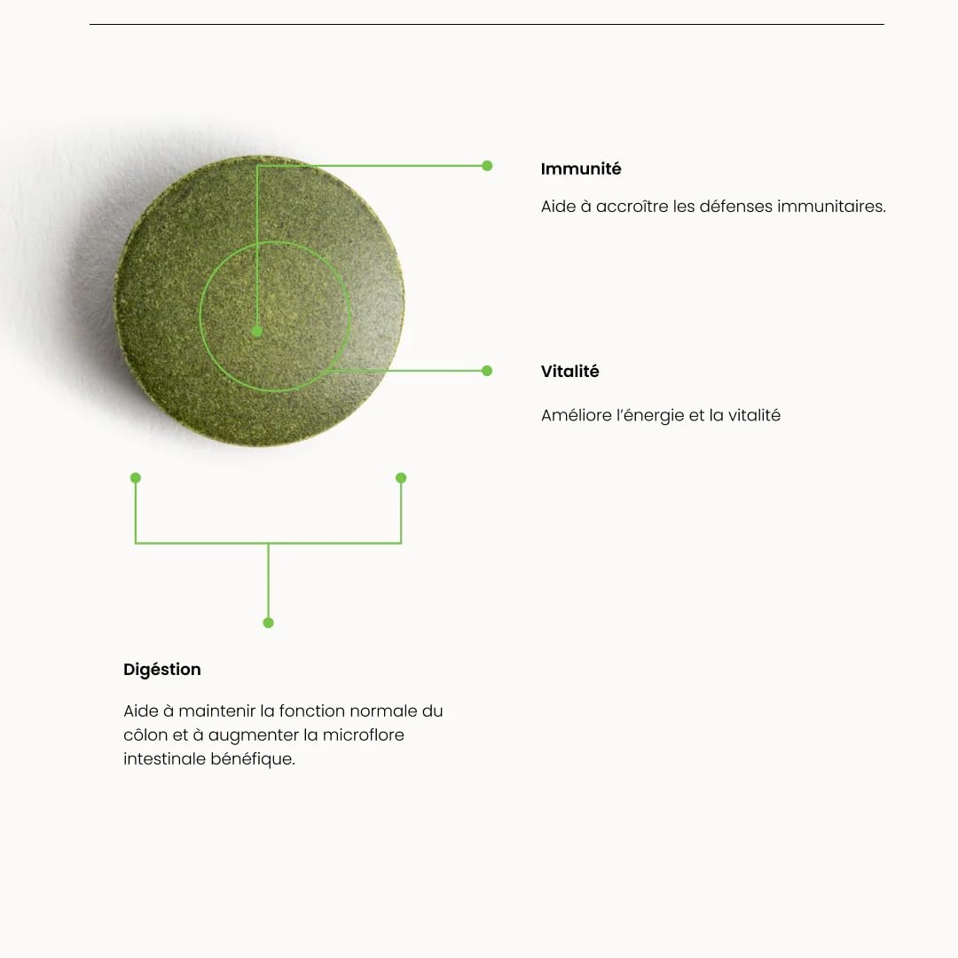 Natésis – Chlorella Bio – DÉTOX DIGESTION IMMUNITÉ – SANS ADDITIFS – SUPERFOOD : protéines végétales, chlorophylle, B12 & fer – HAUTE QUALITÉ – 1000 comprimés