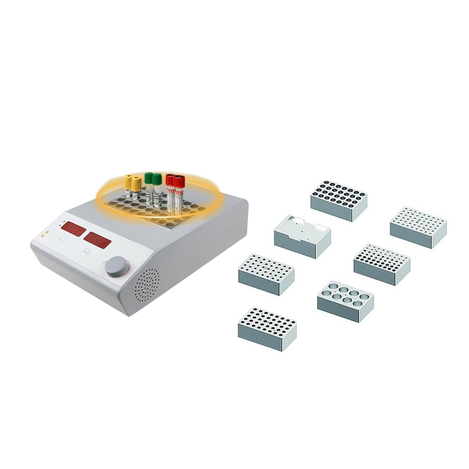 美形。山採りアオダモ 2.8M(鉢底から)品番A 特大の 山採りアオダモ