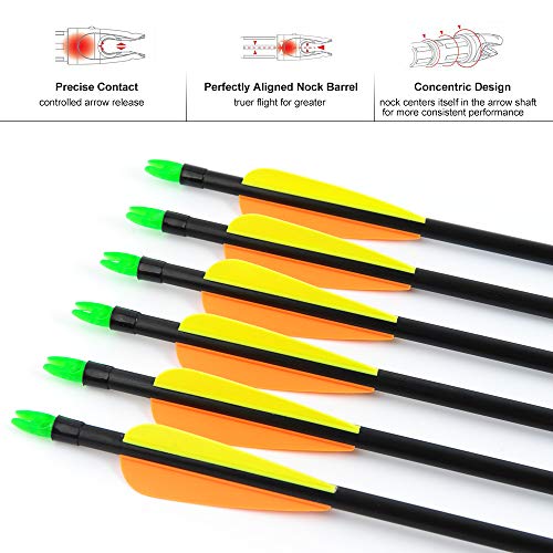 ANTSIR 12Pcs/lot Fiberglass Target Arrow 30 inch Adult Archery Hunting Nock Proof Arrow Steel Point 15-40 Lbs for Recuve & Compound Bow