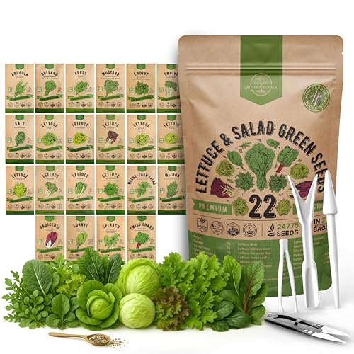 Organo Republic 22 Lettuce & Salad Greens Seeds Variety Pack 24,700+ Non-GMO Heirloom Lettuce Seeds for Indoor & Outdoor Garden, Hydroponics, Aerogarden - Arugula, Kale, Spinach, Swiss Chard, Lettuce