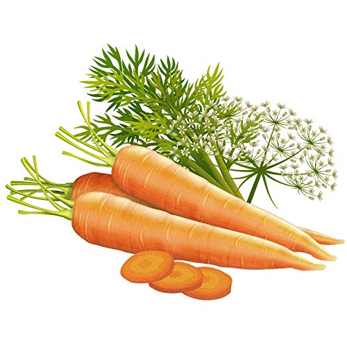 Biotique Carrot Oil Normal 120ml