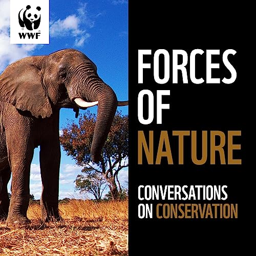 Forces Of Nature Trailer cover art