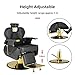LUXMARS Salon Chair Barber Chair Hydraulic Recline Barber Chairs Hair Chair for Barbershop Hair Salon Equipment Styling Chair with Heavy Duty Hydraulic Pump Black Gold