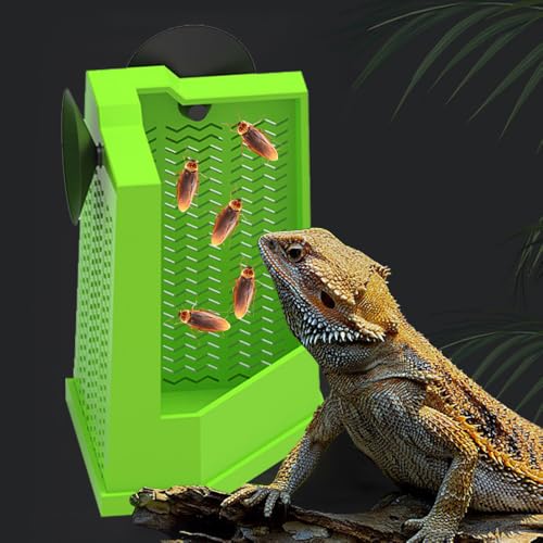 Mangeoire d'angle pour lézard et gecko pour optimiser le terrarium - 8