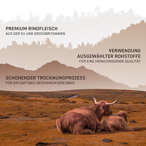 Wild West Beef Jerky, Mix Box 60g, 10er Pack + Sportsbag, 2x Original, 2x Honey BBQ, 2x Jalapeno, 2x Steak Strips Original, 2x Steak Strips Honey BBQ - Beef Jerky high Protein Trockenfleisch