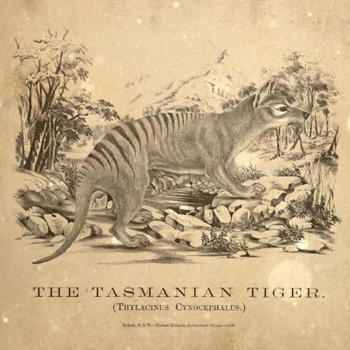 Loremen S7Ep24 - Australian Cryptids with Scout Boxall