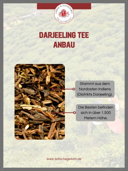 Lingia First Flush TGFOPI 1kg Darjeeling