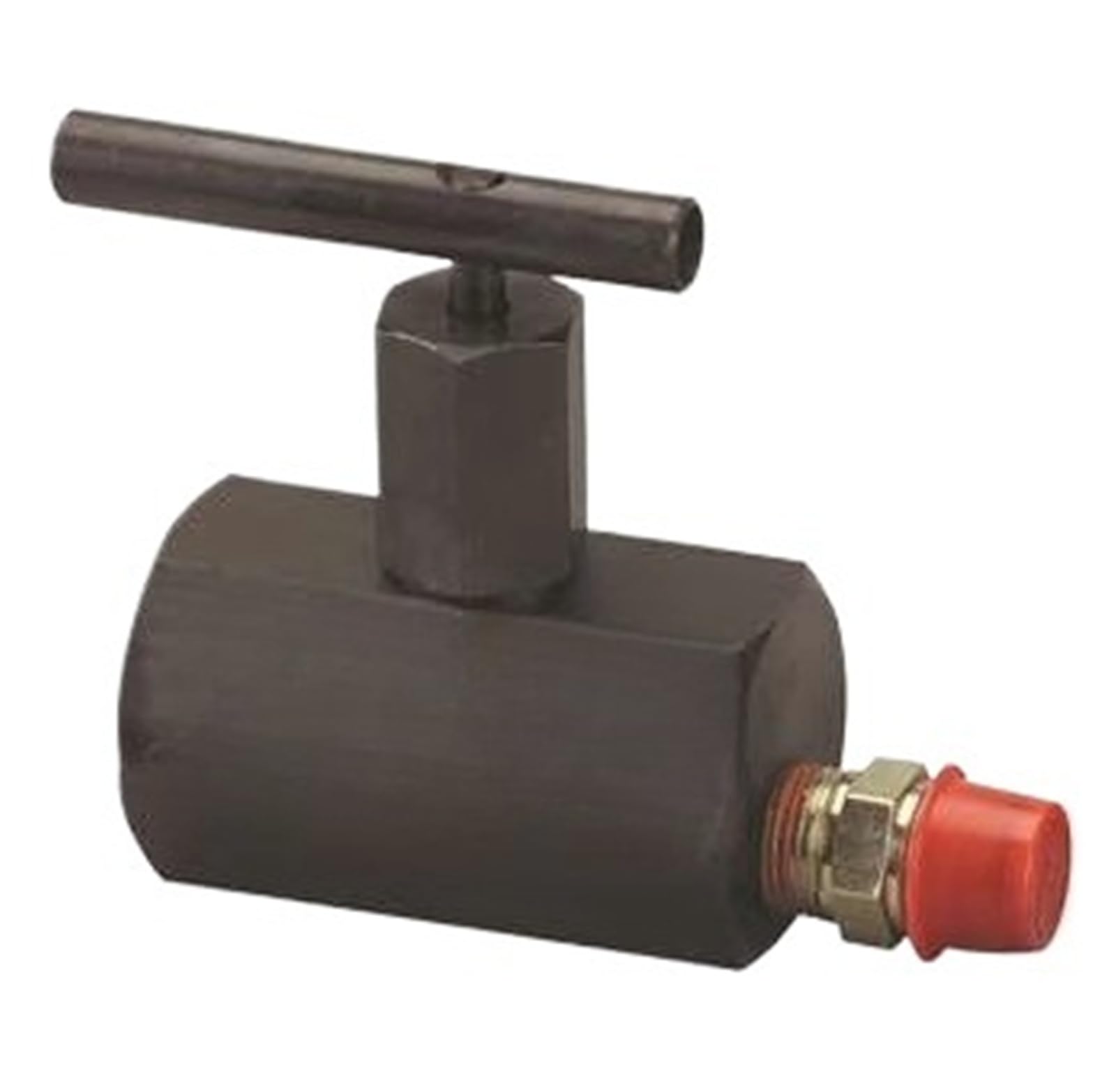 Belovek One Color 3/8 "-18Nptf Manual Globe Valve V66