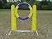 Self-Reset Dog Agility Tire Jump with Non-Rust Aluminum Alloy Frame