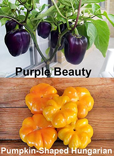 Harley Seeds This is A Mix!!! 30+ Sweet Pepper Mix Seeds, 12 Varieties Heirloom Non-GMO, Pimento, Purple Beauty, from USA, green - Image 3
