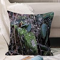 Tracteur Taie D'oreiller 45x45cm Lot De 4 Farm Equipment Housse D'oreiller Pour Camion Housse De Coussin Salon Housse De Coussin Chambre à Coucher Harvester Tracteur Canapé Chaise Housse D'oreiller