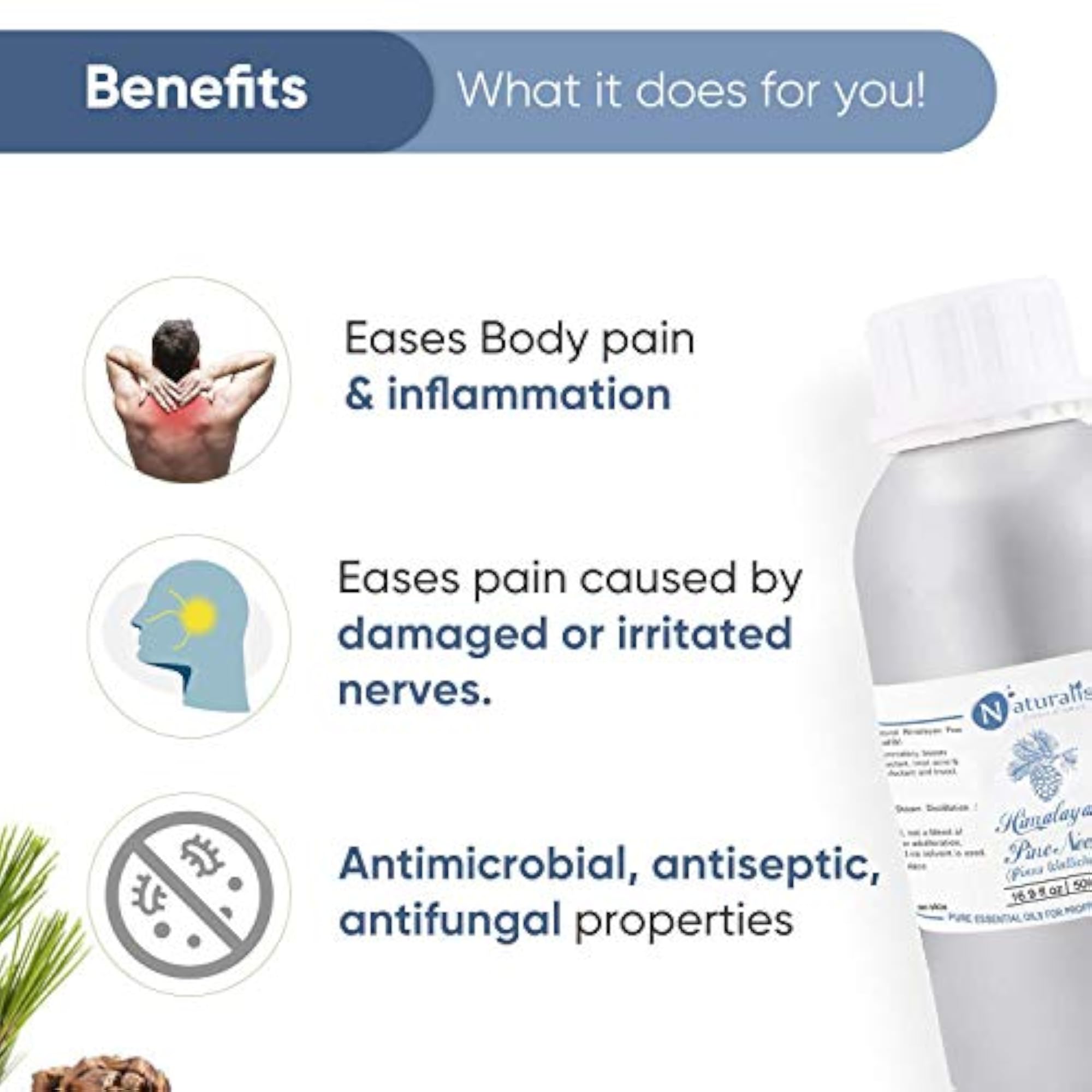 Naturalis Himalayan Pine Needle Essential Oil for Relaxation