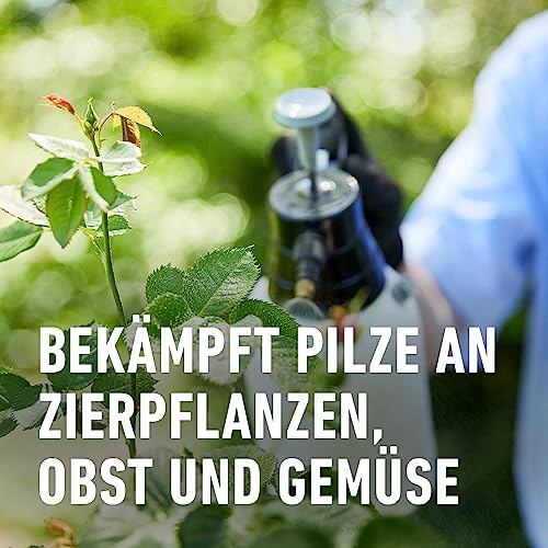 Compo Duaxo Universal Pilz-frei AF, Fungizid, Bekämpfung von Pilzkrankheiten an Zierpflanzen, Gemüse und Kräutern, Anwendungsfertig, 750 ml – Ansicht 4