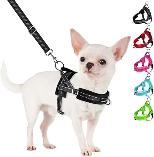 SlowTon No Pull Small Dog Harness and Leash Set, Puppy