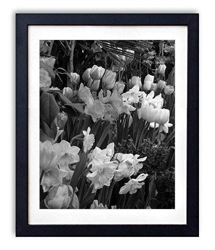 Amazon Co Jp 木製フォトフレーム 写真フレーム 木製の枠 40cmx60cm チューリップ水仙ヒヤシンスハーブ花壇春 白黒の装飾画 壁掛け 壁飾り 壁ポスター おしゃれ ウォールアート アートパネル 壁の絵 インテリア絵画 額縁 部屋飾り 黒額縁が飾っている 壁画 家電 カメラ Amazon Co Jp 木製フォトフレーム 写真フレーム 木製の枠 40cmx60cm チューリップ水仙ヒヤシンスハーブ花壇春 白黒の装飾画 壁掛け 壁飾り 壁ポスター おしゃれ ウォールアート アートパネル 壁の絵 インテリア絵画 額縁 部屋飾り 黒額縁が飾っている 壁画 家電 カメラ