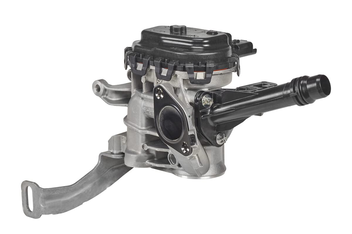 Valeo AGR-Ventil 700455