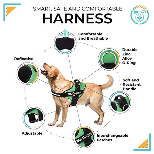 SUPER DOGGY Personalisiertes Hundegeschirr - Reflektierendes und sicheres Hundegeschirr - Enthält 2 Namensschilder, Klein, Mittel und Groß - Qualität und Beständigkeit (Verde, XS 3-7KG)