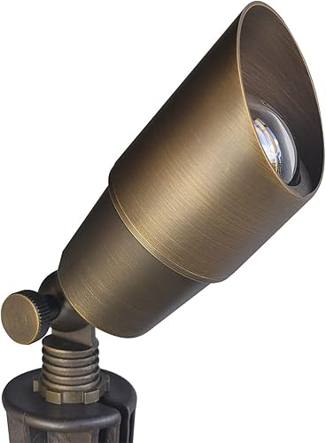 COLOER Foco de bajo voltaje, luces exteriores para patio, iluminación LED de latón de 12 V ACDC, luces impermeables IP65 para entrada de jardín