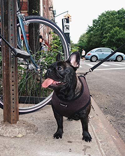 Puppia Hundegeschirr für kleine und mittelgroße Hunde - super weich in vielen Farben - Auch als Welpengeschirr verwendbar -Antizuggeschirr für Hunde, Braun, S