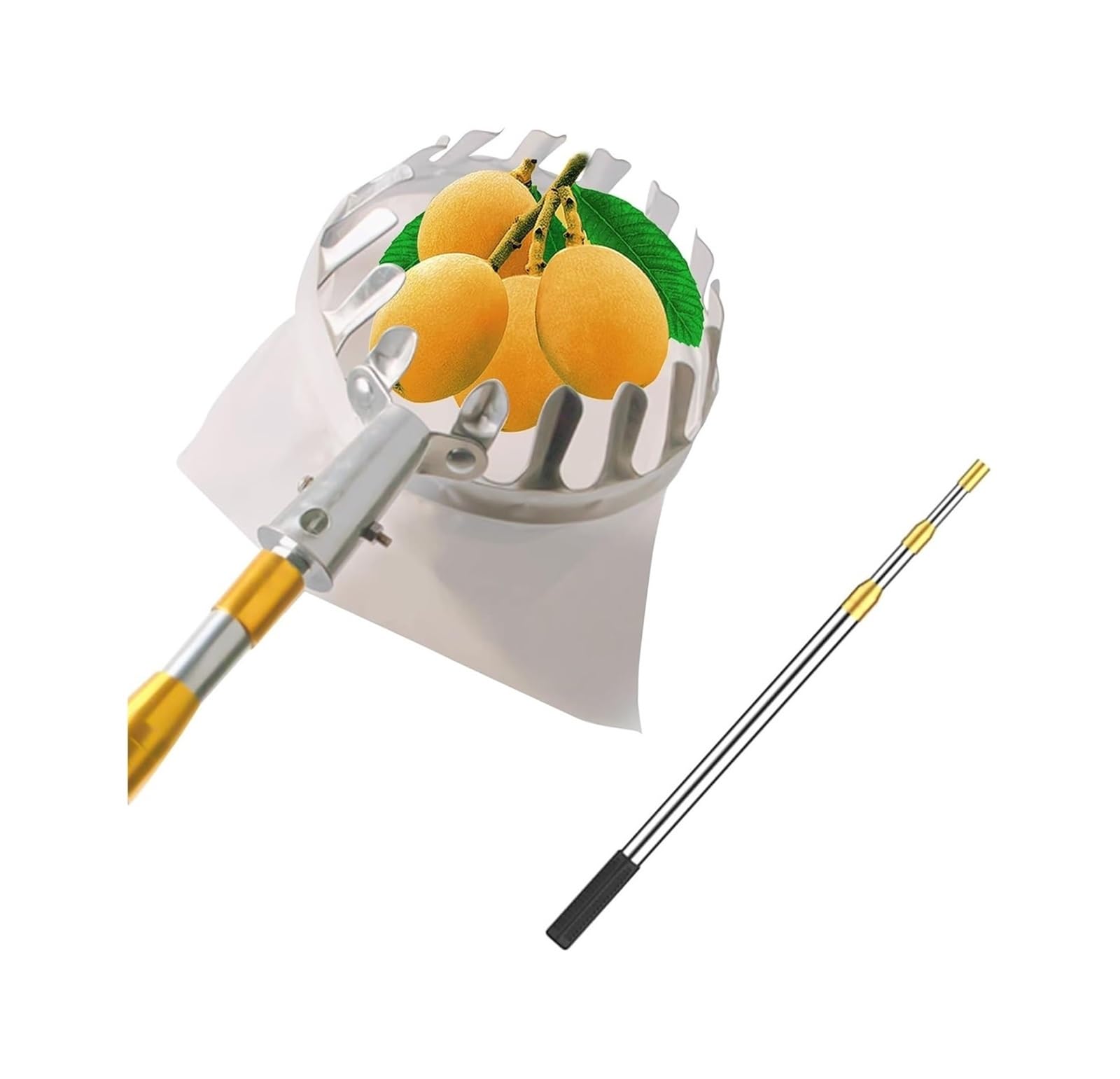 Perche cueille-Fruits, Cueilleur de poires avec Sac en Tissu, Poteau à Fruits Acier Inoxydable, Extensible, Attrape-abricots(2.5m)