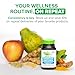 Zenwise Health Energy & Mobility Boost Bundle - Joint Support + Green Tea Extract - Features MSM Glucosamine & Chondroitin for Extra Strength Relief - Plus Vitamin C - Immune & Metabolism Booster