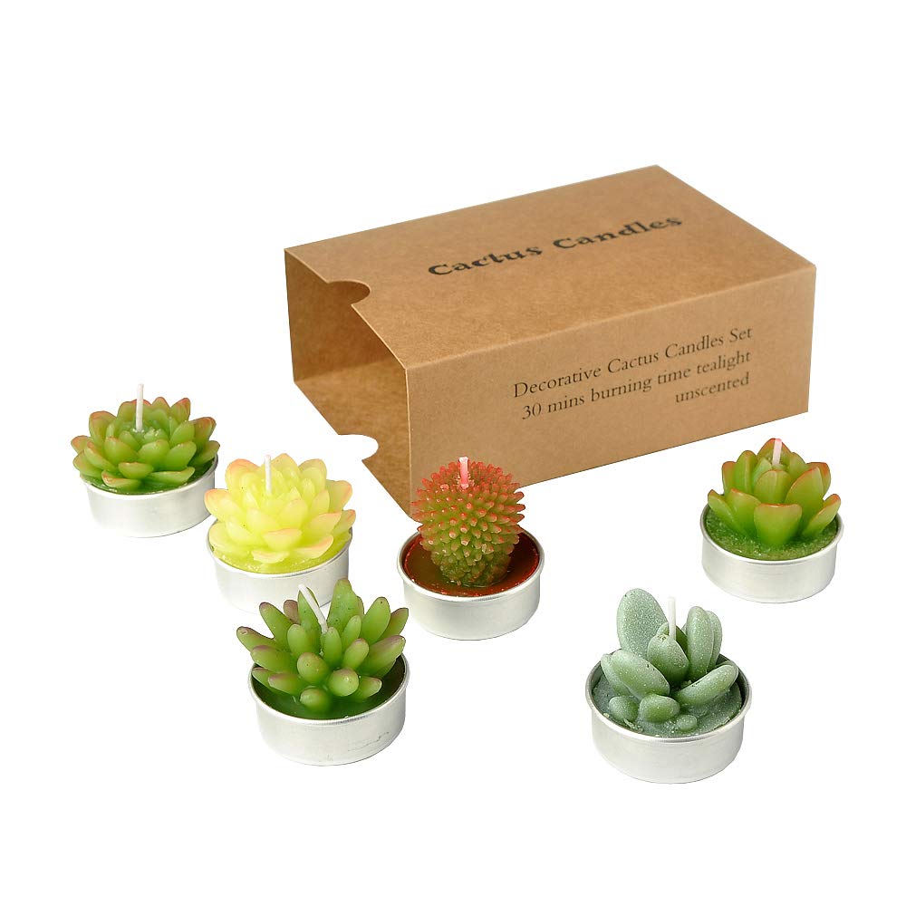 SanSeng Cactus Tealight Candles, Handmade Delicate Succulent Cactus Candlesï¼Ë† Perfect for Birthday Party,Wedding, Spa, Home Decor(6 Pcs in Pack)
