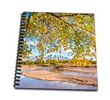 8 x 8 inches spiral bound glossy hard covered 9/16 inch twin loop wire binding spine 50 unlined pages, 8 x 7.75 inches - page thickness is 80lb text Acid free blank bright white non-coated paper Pages lay flat when book is opened