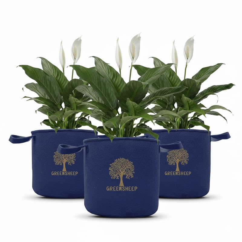 GREENSHEEP Geo Fabric Grow Bags for Terrace Gardening, Balcony, Vegetables, Plants, Fruits and Flower with Handles - Breathable and Reusable Plant Bags for Indoor (Blue) (Pack of 3) (Size-18x18)