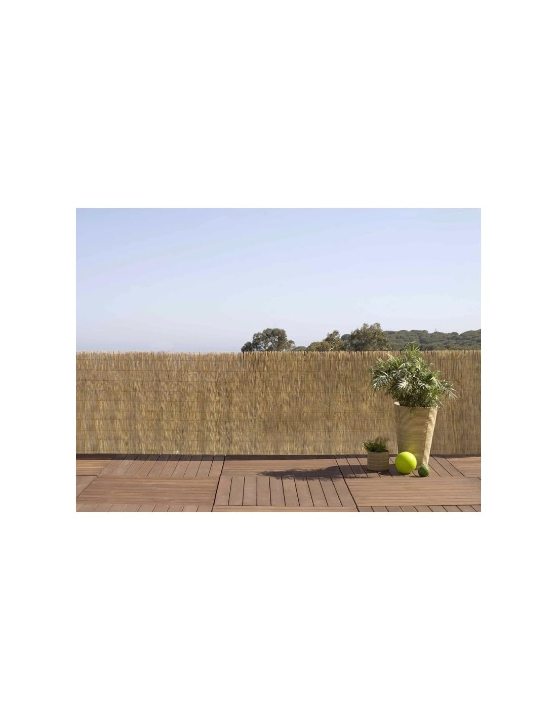 Bambú Fino Pelado Multivarilla 1x5 Metros | Ocultación Total para Tu Jardín | Distintas Medidas Disponibles | Ideal para Pérgolas y Vallados | Resistente al Exterior