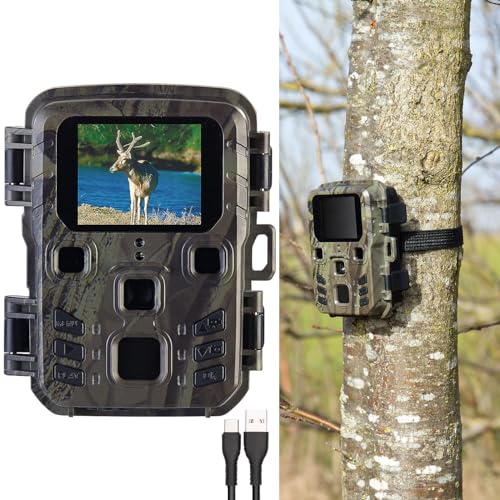 VisorTech Wildcamera: 4K-Wildkamera mit PIR-Sensor, Nachtsicht, 6 Monate Stand-by, IPX5 (Mini...