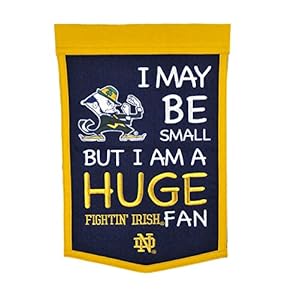 Winning Streak Sports NCAA Notre Dame Fighting Irish Lil Fan Banner- College Sports Fan Wall Decor for Kids