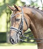  Busse Kandare Comfort, Vollblut, schwarz (weiß)/Strass-Navy-weiß