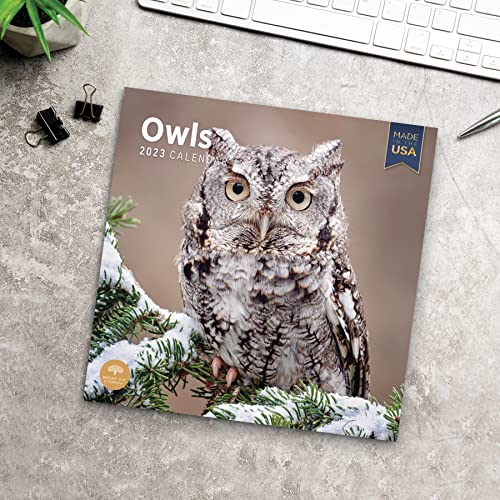 2023 Owls Monthly Wall Calendar By Bright Day, Made In The Usa, 12 X 12 Inch, Beautiful Nature Wildlife Animal Photography #TOP5