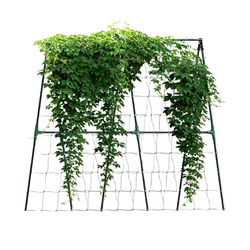 Enrejado para plantas, obelisco metálico para plantas trepadoras, enrejado de guisantes, para tomates, verduras, calabacín, pepinos, guisantes, vid, frutas, flores