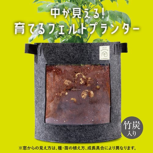 アルファックス 不織布プランター 植木鉢 幅38×奥行20×高さ20cm ファミカジ 育てる フェルトプランター 角浅型 AP-625018 グレー 2枚目