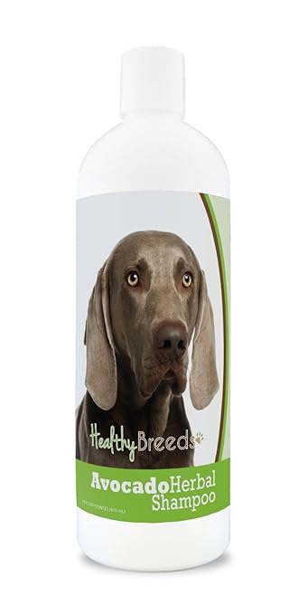 Healthy Breeds Herbal Avocado Dog Shampoo for Dry Itchy Skin for Weimaraner - Over 100 Breeds - Flea and Tick Product Safe - For Dogs with Allergies or Sensitive Skin - 16 oz