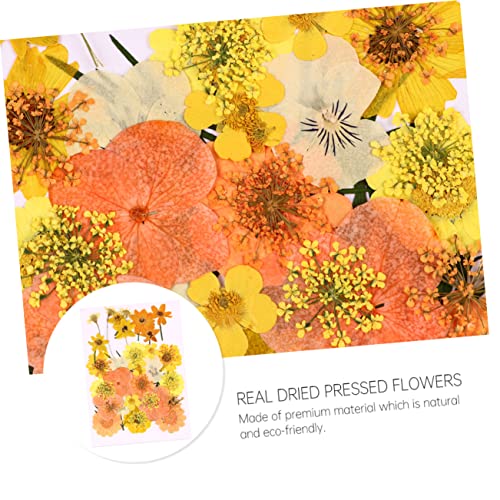 Kit artesanal LIFKOME 40 piezas flores secas para decoración miniatura 6