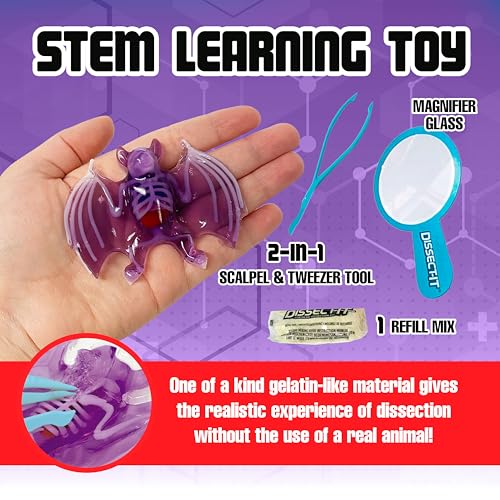 Image of Top Secret Toys Dissect-It Mini Labs Bat Lab Dissection Kit for Kids, Realistic Synthetic Kids Science Kit - On, Biology and Animal Anatomy, STEM Toy, Ages 6+