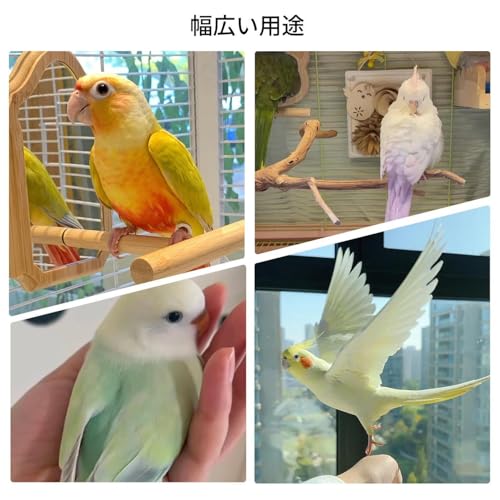 �I�E���̂�������,�ؐ� ��� ���p �V�[�\�[ - �I�E�� �Z�L�Z�C�C���R �R�U�N���C���R ���� �m��ߋ� �o�����X�V��