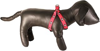 NCAA Georgia Bulldogs Collegiate Dog Harness (Large)