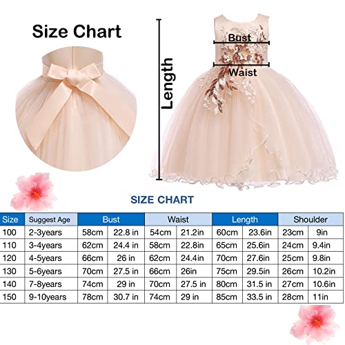 Lenefu Baby Girl Princess Bridesmaid Pageant Gown Birthday Party Wedding Dress Sleeveless Party Dresses Girl Clothes(Champagne 110) #TOP2